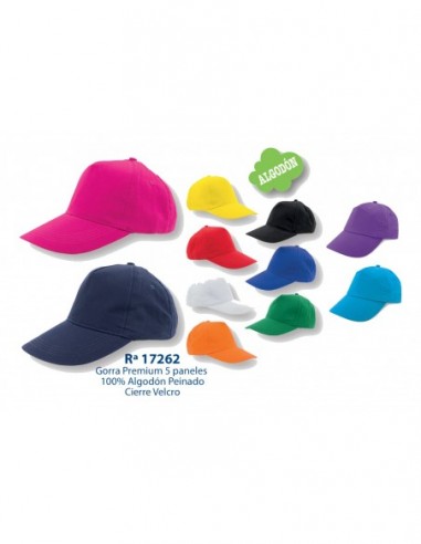 Gorra: 21060